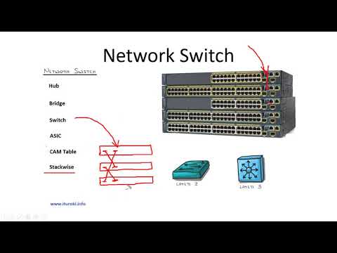 Видео: Компьютерные уроки/Уроки Cisco/CCNA 200-301 (часть1) Урок 2 (Switch & Router)