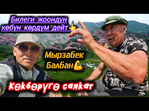 Видео: Мырзабек балбан агынан жарылды💥💥💥