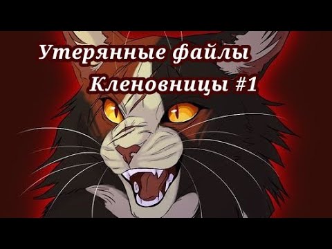 Видео: #5 утерянные файлы /Кленовница #1 /коты воители