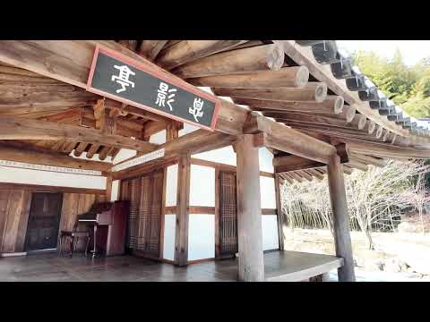 Видео: Прогулка по бамбуковой роще. Город Дамьянг (Южная Корея)