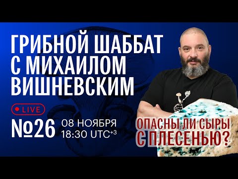 Видео: Грибной шаббат №26 вместе с Еленой Александровой. Опасны ли плесневые сыры? Отвечаем на вопросы