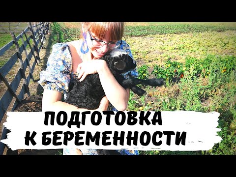 Видео: Я Не Готовилась к Беременности! Нужно ли Готовиться к Беременности