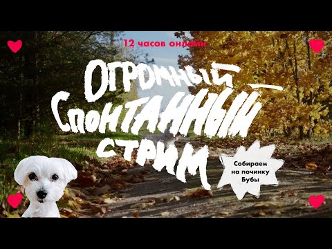 Видео: 12 часовой стрим – Пишу музыку на всех устройствах