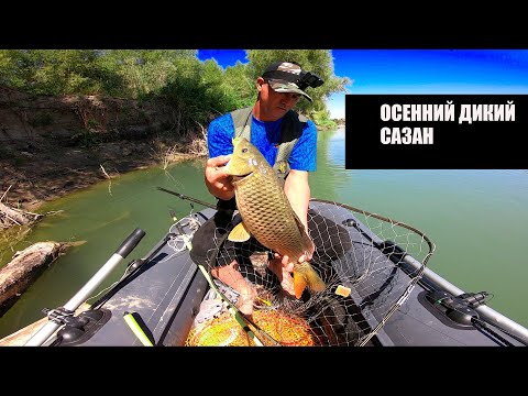 Видео: РЫБАЛКА на САЗАНА с ЛОДКИ на донку , РЕКА  КАРАТАЛ.