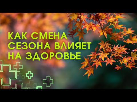 Видео: Метеозависимость: что происходит с организмом осенью и как помочь себе