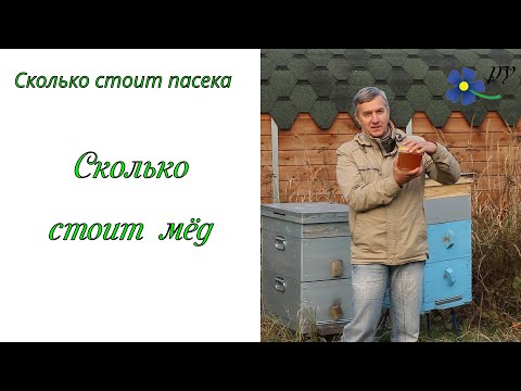 Видео: Сколько стоит мёд
