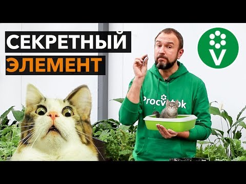 Видео: От этого средства корни рассады растут как сумасшедшие!