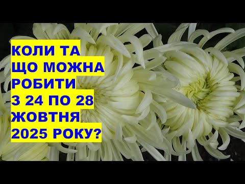 Видео: Коли та що робити з 24 по 28 жовтня 2025 року?