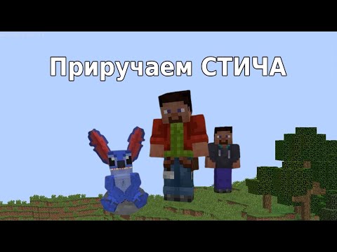 Видео: Приручаем стича!