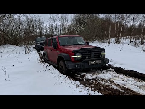Видео: Ломаем Танк 300 и грибы в зимнем лесу. Орудьево горки.