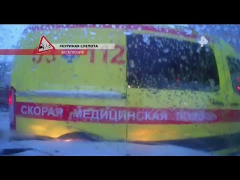 Видео: "ВОДИТЬ ПО - РУССКИ" (720) РенТВ. Запись от 11.03.19. Водитель! Не нарушай правила!