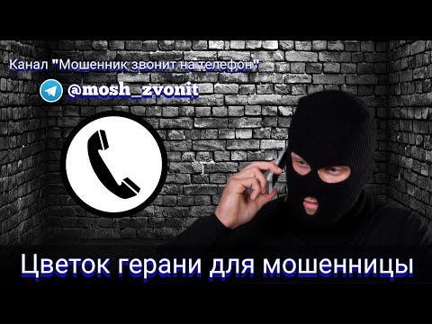 Видео: Цветок герани для мошенницы