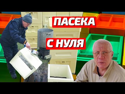 Видео: Как начать пасеку с нуля Как завести пчел