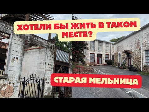 Видео: #013 Неординарное жильё в старой мельнице #влог #недвижимость #жизньвсша #дизайн