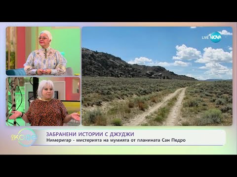 Видео: Забранени истории с Джуджи - Нимеригар мистерията на мумията - „На кафе“ (21.11.2024)