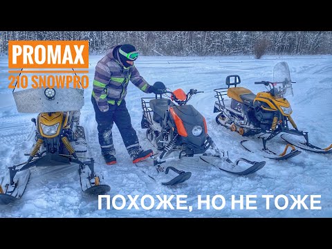 Видео: Отзыв и Сравнение снегоходов PROMAX 210 snowpro и Dingo t150