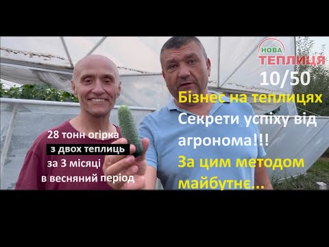 Видео: 28 тонн огірка за 3 місяці з 2 теплиць в весняний період