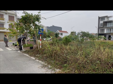 Видео: Производители овощей на тротуарах не верят, что мы чистим тротуары бесплатно