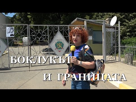 Видео: БОКЛУКЪТ И ГРАНИЦАТА