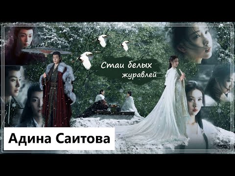 Видео: Клип на дораму Возрождение великой мечты | Fangs of Fortune - Стаи белых журавлей MV