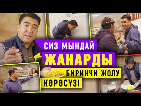 Видео: #БЕЙНЕ Жанар Акаевге жылдыз оорусу жабышканда...