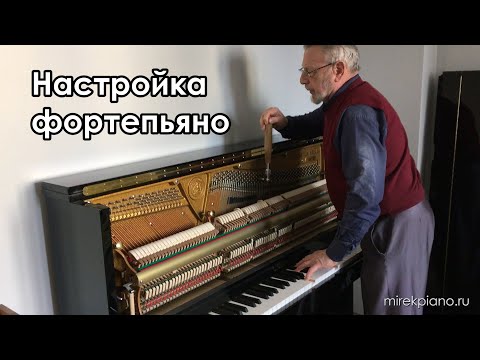 Видео: Мой любимый настройщик пианино - My favorite piano tuner