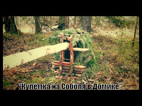 Видео: "Кулёмка на Соболя на Земле".