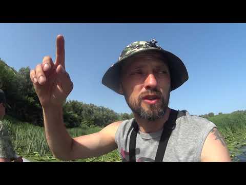Видео: "День yo-zuri, на ПВХ в "Семейки", 20.06.2022, река "Дон"