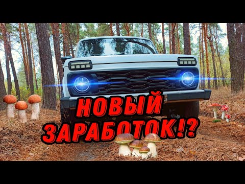 Видео: Коп НЕВЫГОДЕН.! Цены на металл ПАДАЮТ.! #hunting #коп #металлокоп #клад #заработок #metaldetecting