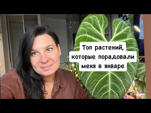 Видео: Растения, которые меня радуют