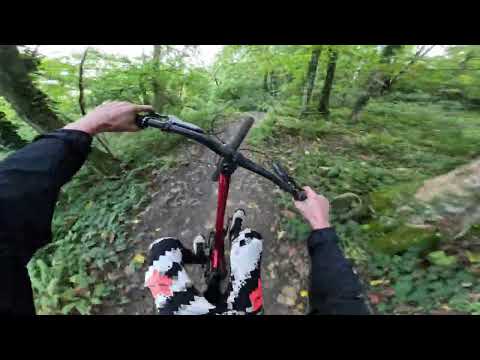 Видео: Stinger Magnum в деле: байк-парк Красная Поляна, трасса "Столовая" с Михаилом Тиуновым, часть 1