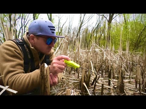 Видео: ТОННА КАРАСЯ ПІД НОГАМИ РИБАЛКА З ПІД НІГ!!!