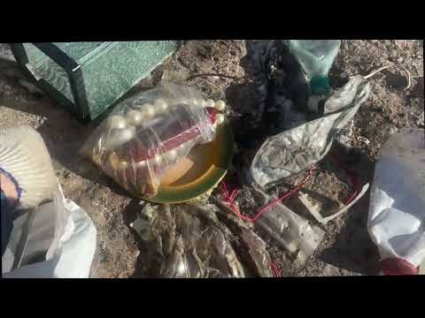 Видео: Поход на свалку, деньги из мусора. Витёк мусорщик