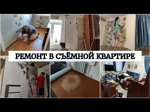 Видео: РЕМОНТ И УБОРКА В СЪËМНОЙ КВАРТИРЕ🔨