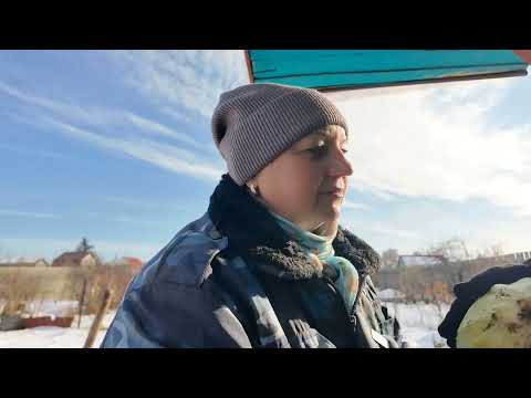 Видео: Салат Аля Винегрет // Достала капусту из под снега// Заколотили веранду