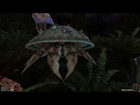 Видео: The Elder Scrolls 3: Morrowind [FullRest Repack] 4.0 - 32 - Небольшой крюк