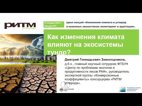 Видео: Как изменения климата влияют на экосистемы тундр? Д.Г. Замолодчиков