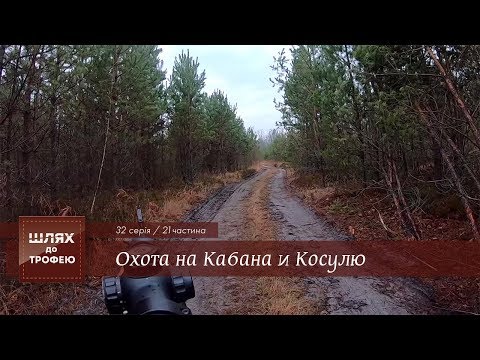 Видео: Охота на Кабана и Косулю. 1 серия   [Шлях до Трофею №32]