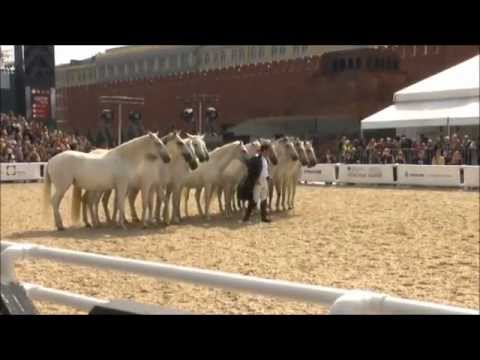 Видео: Лоренцо.Lorenzo Emotion horse show in Moscow.Летающий всадник