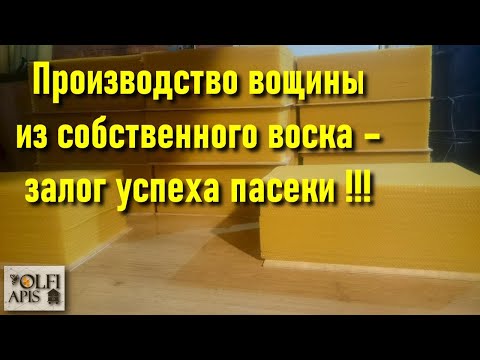 Видео: #Рахматулин Д.К. Производство вощины из собственного воска – залог успеха пасеки !!!