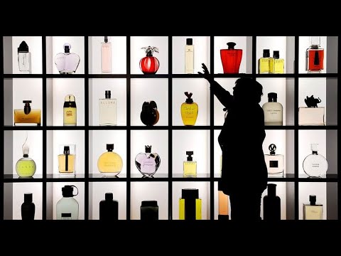 Видео: Специально для Новичков!