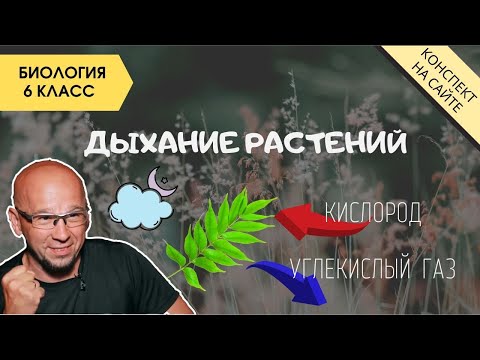 Видео: Дыхание растений. Опыты с растениями. Биология 5-6 класс. Питание растений. Как дышат растения. ЕГЭ