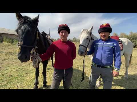 Видео: HD ЧУЙ Московский р. С. Предтеченка. Бектин тойу. Жер улак, 40жаш, додо, кокбору. Укмуш батаалар!!!