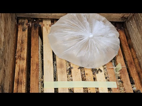Видео: 1ЧАСТЬ ,СИРОП ,ОБРАБОТКА ПРОТИВ КЛЕЩА 🐝🐝🐝ПОДГОТАВЛИВАЕМ ПЧЁЛ К ЗИМЕ 