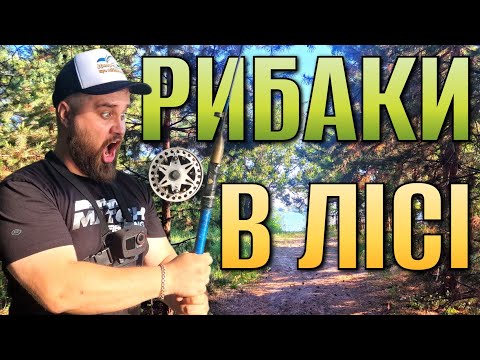 Видео: Дуже бюджетні снасті ловлять ‼️ Тест старих спінінгів