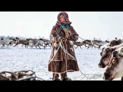 Видео: 10 причин полюбить Ямал | Факты