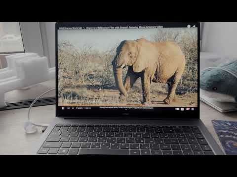 Видео: Ноутбук Honor MagicBook X 16 2024. Краткий обзор