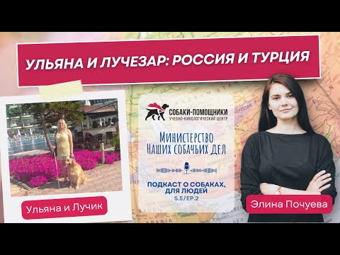 Видео: Ульяна и Лучезар: в Турцию с собакой-поводырём