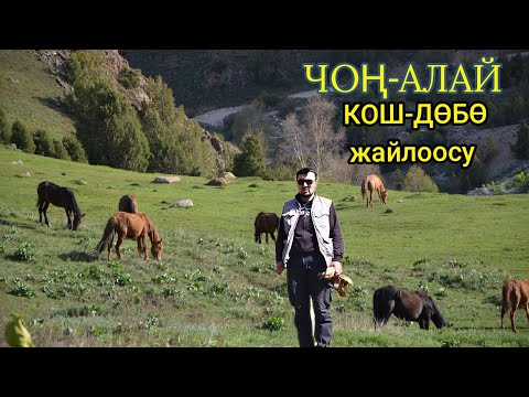 Видео: КОШ-ДӨБӨ жайлоосу / ЧОҢ-АЛАЙ / Сулайман Жанботоев