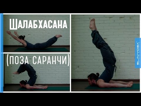 Видео: Асана йоги ШАЛАБХАСАНА (поза саранчи): ардха, пурна, урдхва, випарита шалабхасана